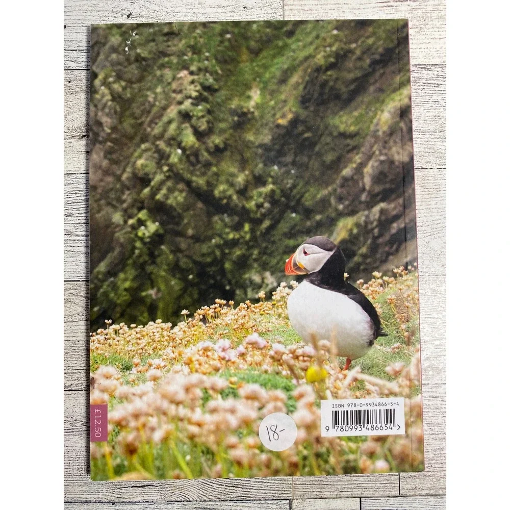 Wool Journey Amber Platzer Corcoran 2017 Shetland Knitting Patterns Travel Guide